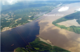 Amazon river