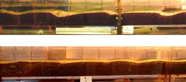 Dunes in a laboratory flume